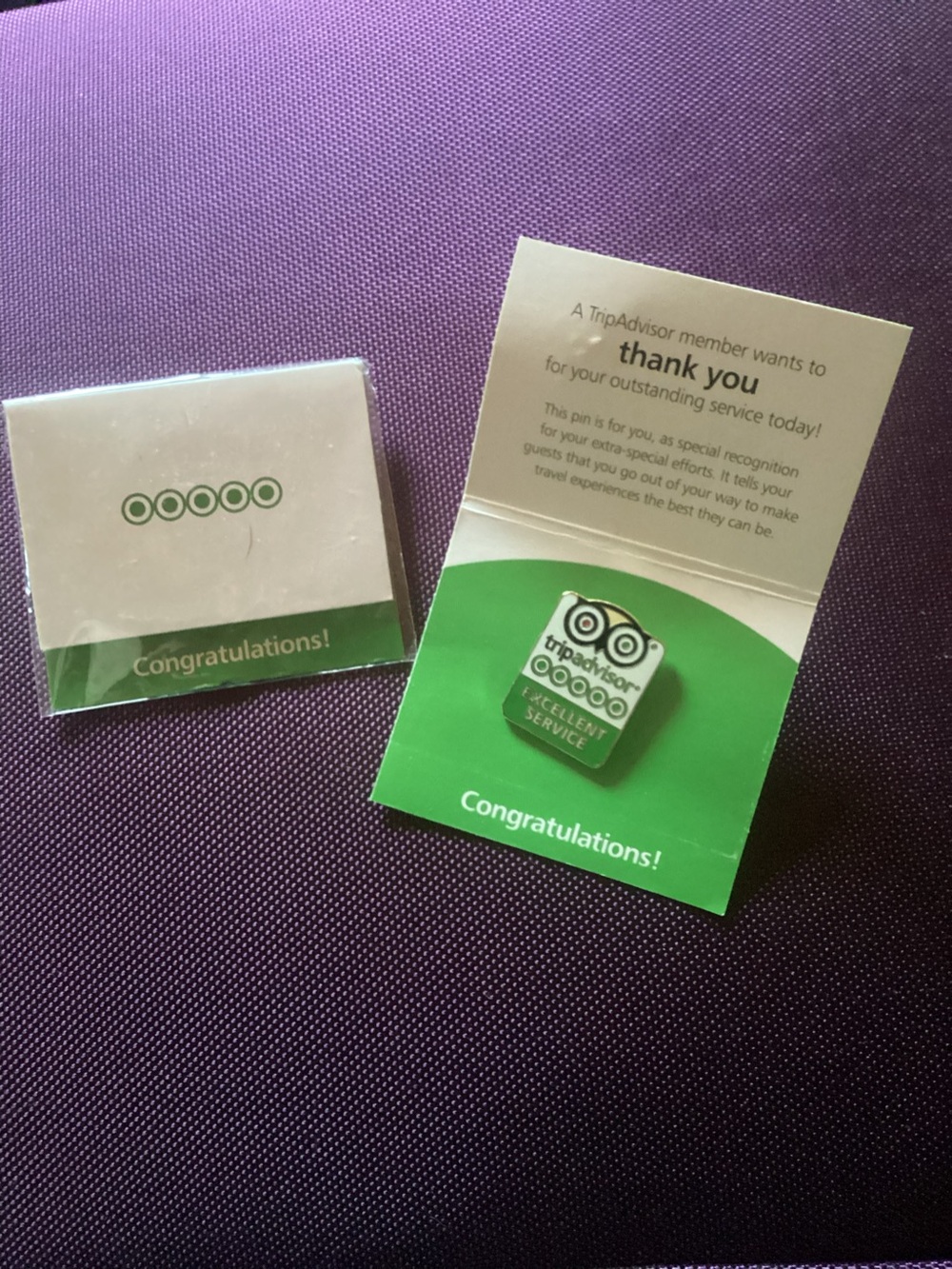TripAdvisor 'Excellent Service' Pins- set of two